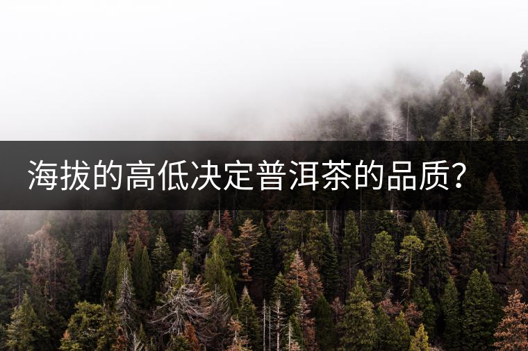 海拔的高低決定普洱茶的品質？【附：名山頭茶海拔表】