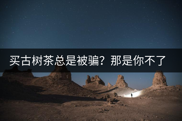 買古樹茶總是被騙？那是你不了解古樹茶的十大真相