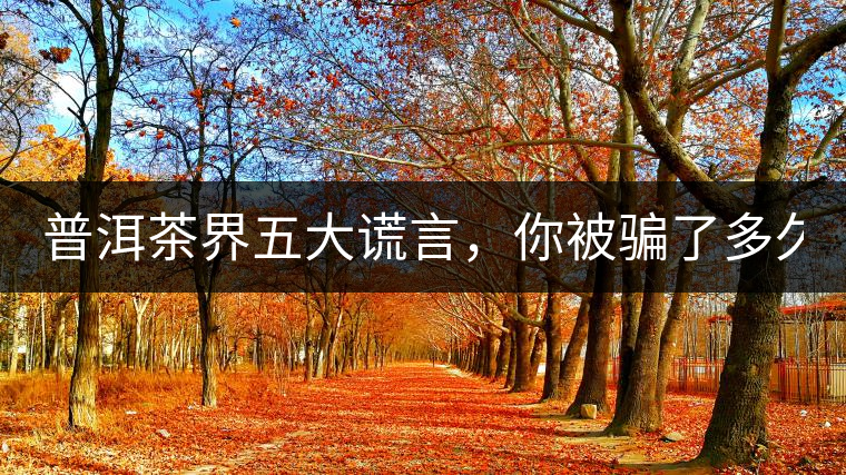 普洱茶界五大謊言，你被騙了多久？