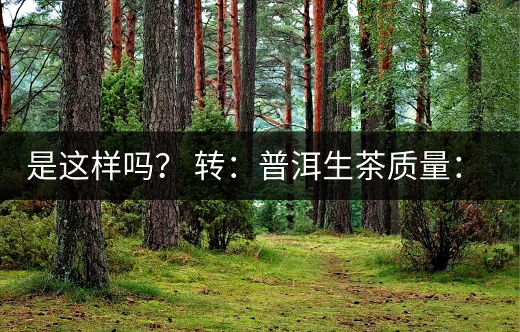是這樣嗎？ 轉(zhuǎn)：普洱生茶質(zhì)量：大廠和小廠沒(méi)有區(qū)別