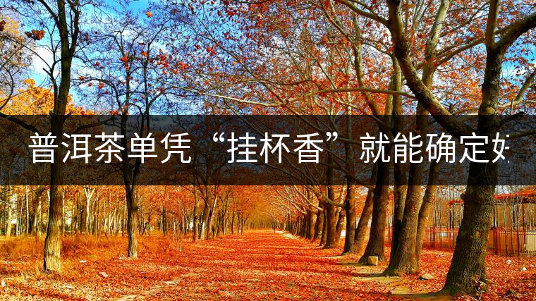 普洱茶單憑“掛杯香”就能確定好壞？you錯了！