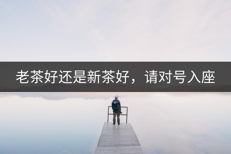 老茶好還是新茶好，請(qǐng)對(duì)號(hào)入座