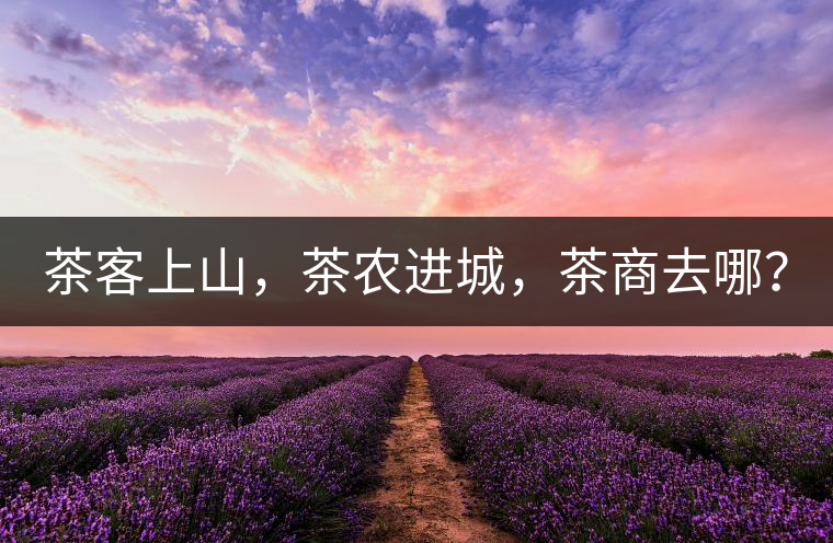 茶客上山，茶農(nóng)進(jìn)城，茶商去哪？