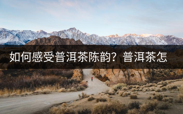 如何感受普洱茶陳韻？普洱茶怎么喝？