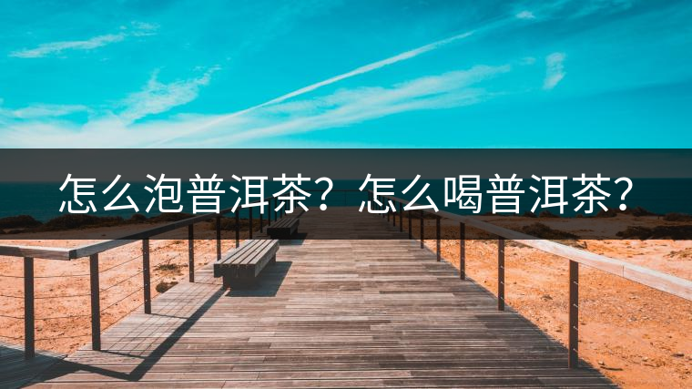 怎么泡普洱茶？怎么喝普洱茶？