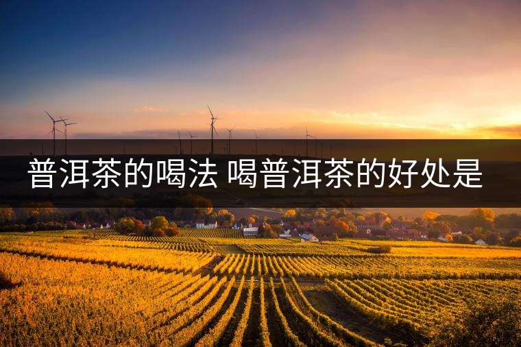 普洱茶的喝法 喝普洱茶的好處是什么？
