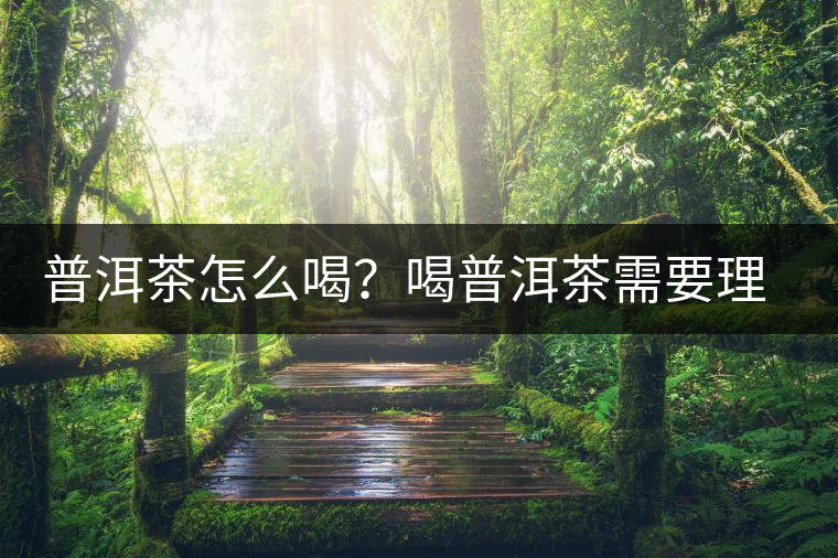 普洱茶怎么喝？喝普洱茶需要理由嗎？