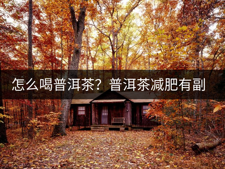 怎么喝普洱茶？普洱茶減肥有副作用嗎？