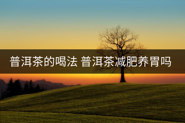 普洱茶的喝法 普洱茶減肥養(yǎng)胃嗎？