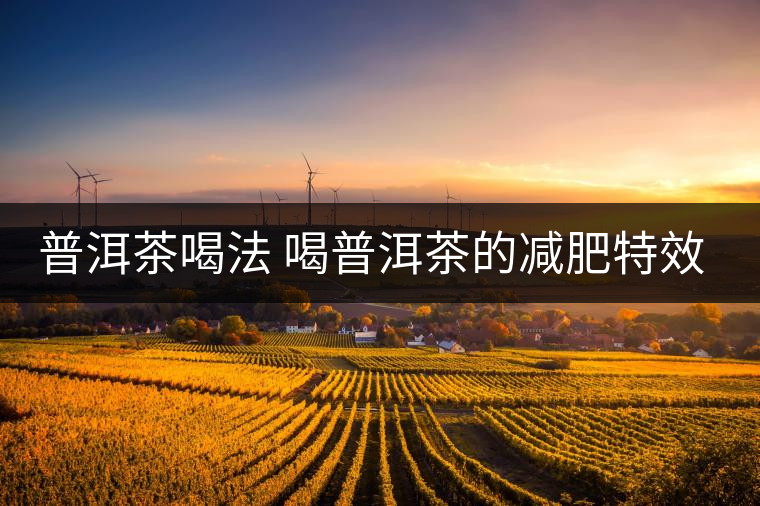 普洱茶喝法 喝普洱茶的減肥特效是什么呢？