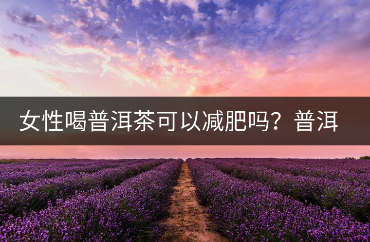 女性喝普洱茶可以減肥嗎？普洱茶的功效又有哪些呢？