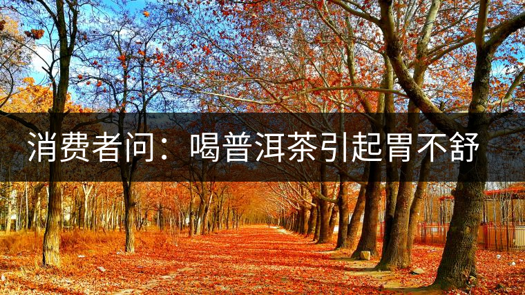 消費(fèi)者問(wèn)：喝普洱茶引起胃不舒服怎么辦？
