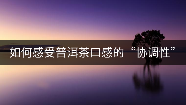 如何感受普洱茶口感的“協(xié)調(diào)性”？