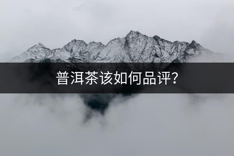 普洱茶該如何品評？
