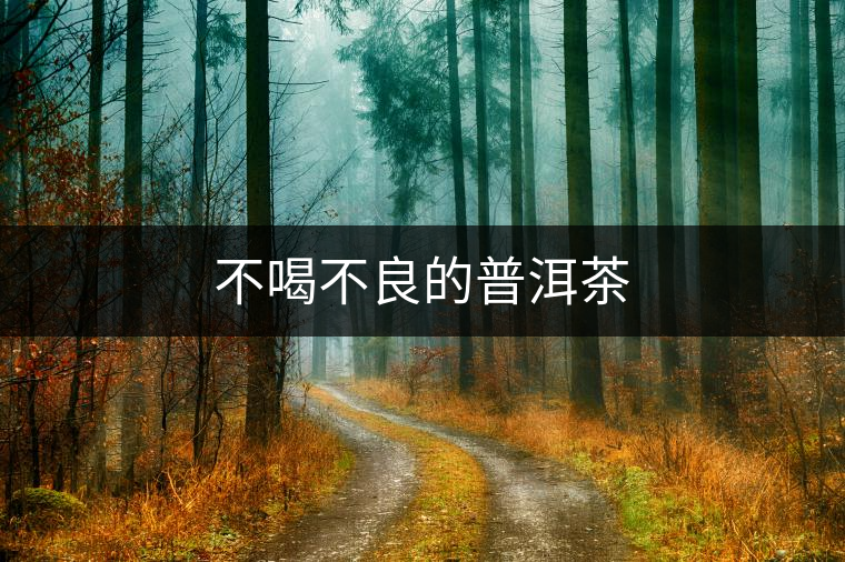 不喝不良的普洱茶 不喝不良的普洱茶