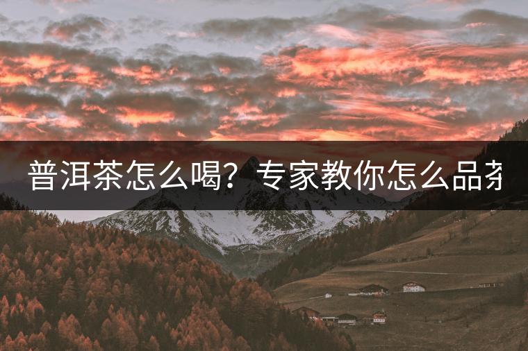 普洱茶怎么喝？專家教你怎么品茶？