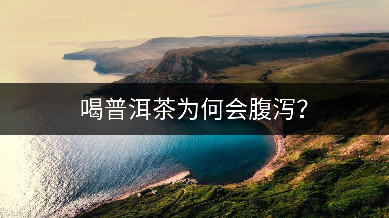 喝普洱茶為何會(huì)腹瀉？