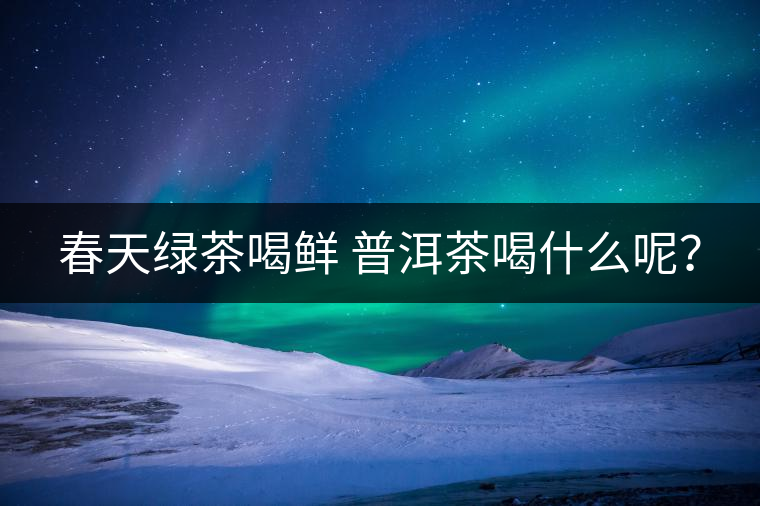 春天綠茶喝鮮 普洱茶喝什么呢？