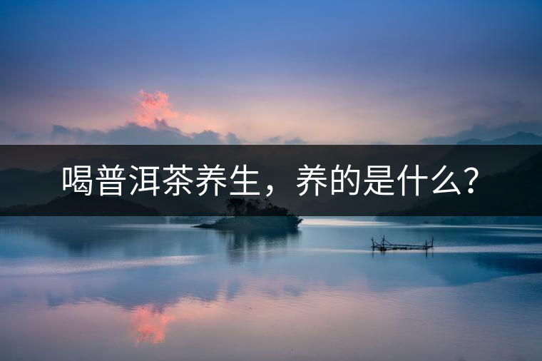 喝普洱茶養(yǎng)生，養(yǎng)的是什么？