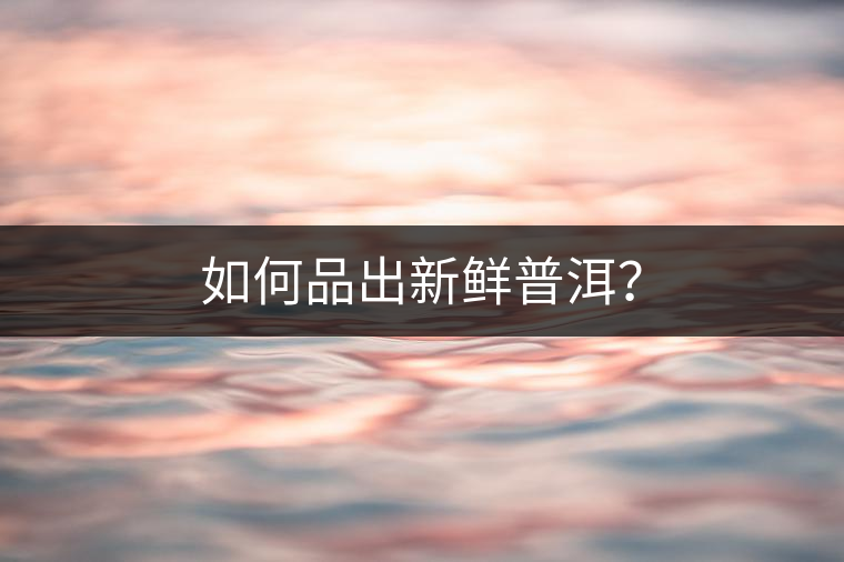 如何品出新鮮普洱？