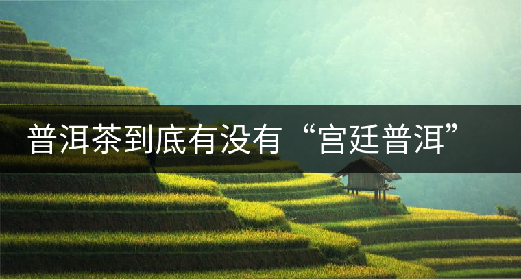 普洱茶到底有沒有“宮廷普洱”一說？它到底是什么？