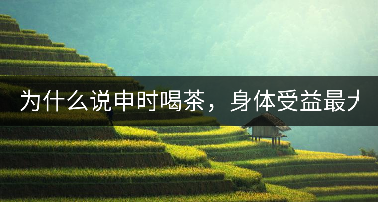 為什么說申時喝茶，身體受益最大？