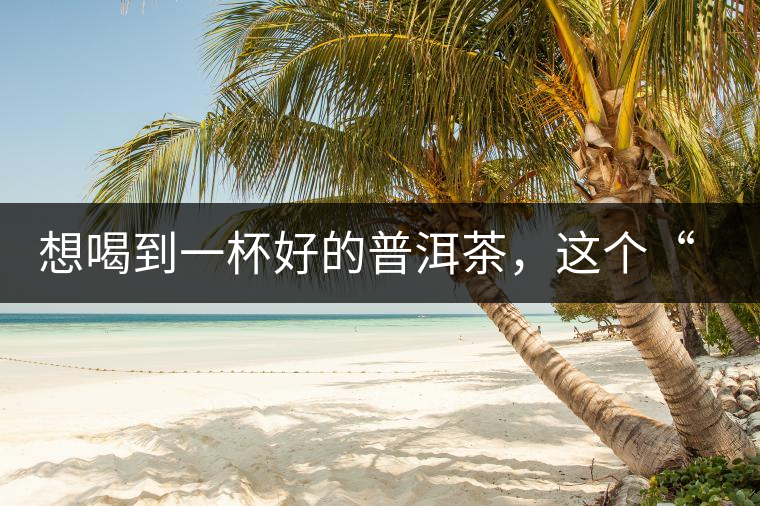 想喝到一杯好的普洱茶，這個“醒茶”步驟很關(guān)鍵