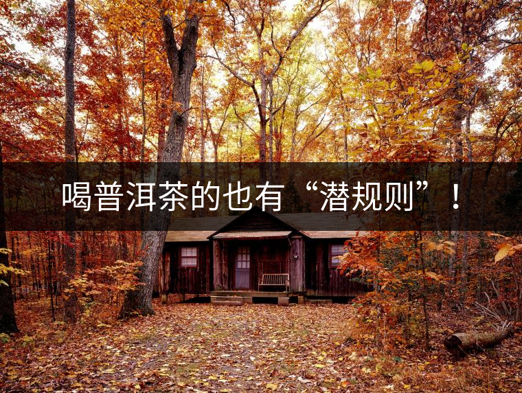喝普洱茶的也有“潛規(guī)則”！