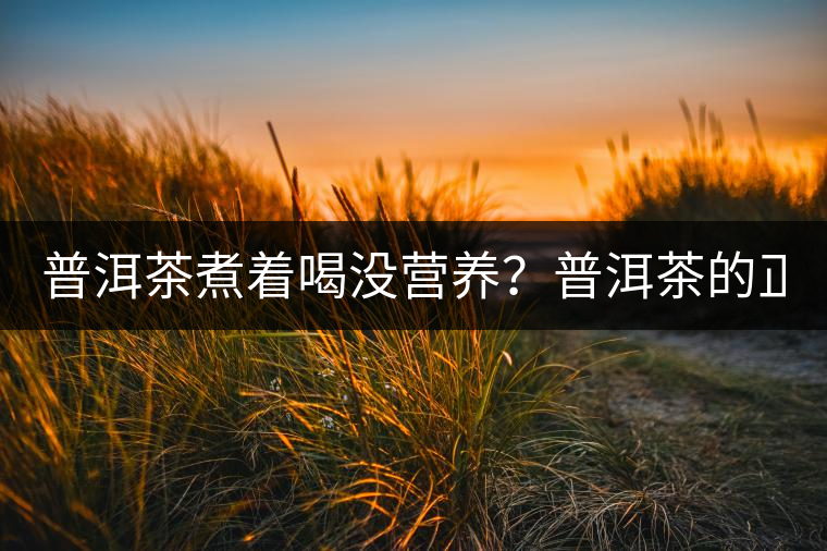 普洱茶煮著喝沒營養(yǎng)？普洱茶的正確煮法！