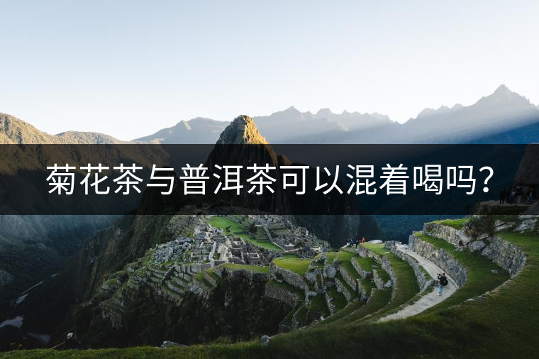 菊花茶與普洱茶可以混著喝嗎？