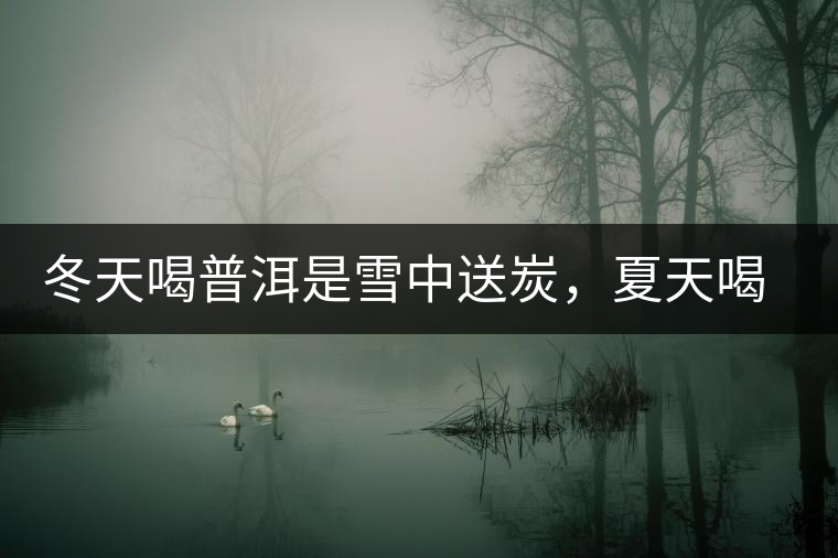 冬天喝普洱是雪中送炭，夏天喝就是火上澆油了？