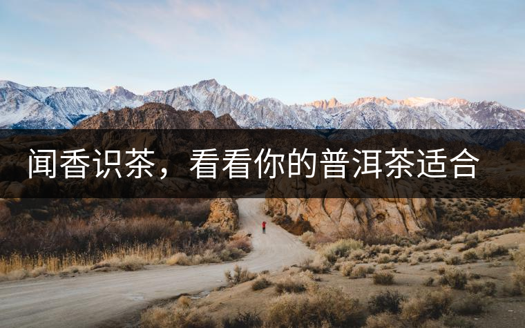 聞香識茶，看看你的普洱茶適合現(xiàn)在喝還是以后喝？