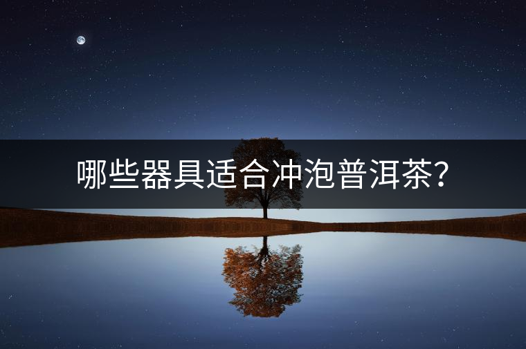 哪些器具適合沖泡普洱茶？