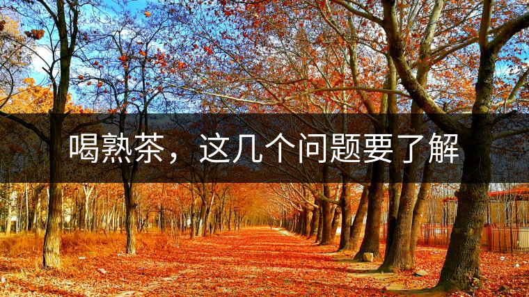 喝熟茶，這幾個(gè)問題要了解
