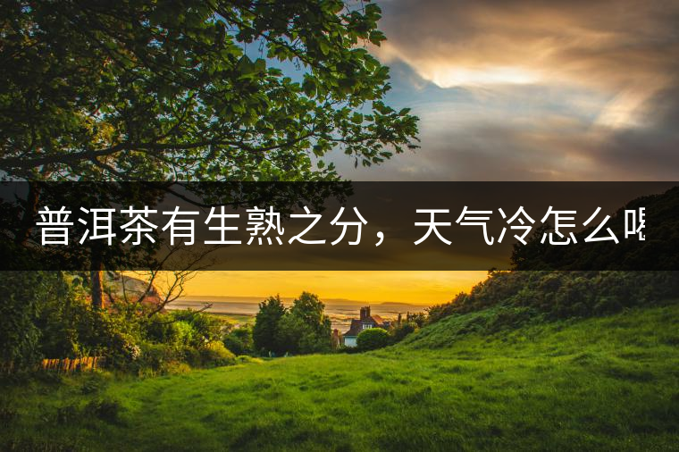 普洱茶有生熟之分，天氣冷怎么喝？