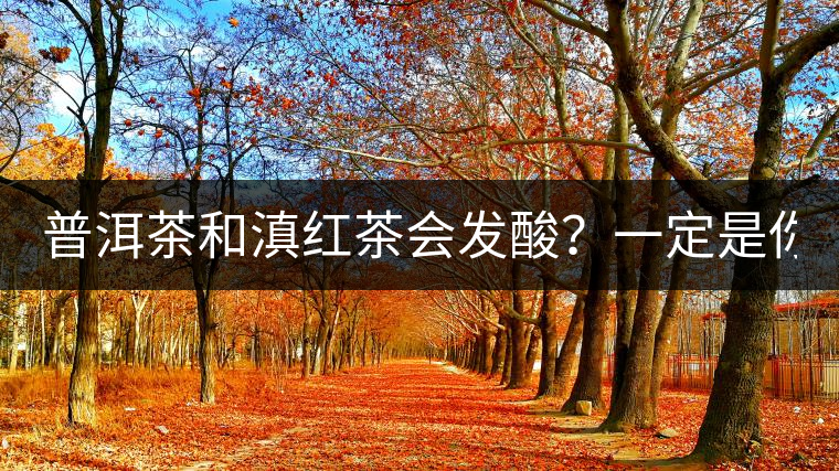 普洱茶和滇紅茶會發(fā)酸？一定是你這么做了！