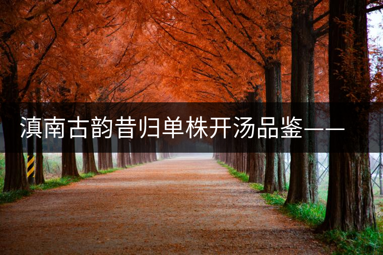 滇南古韻昔歸單株開(kāi)湯品鑒——獨(dú)樹(shù)一味