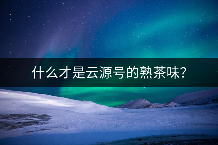 什么才是云源號(hào)的熟茶味？