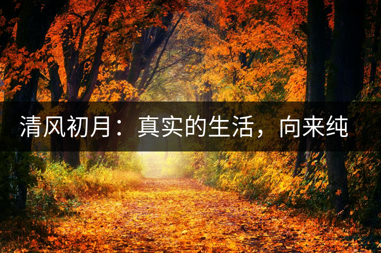 清風(fēng)初月：真實(shí)的生活，向來純簡(jiǎn)