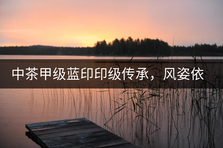 中茶甲級藍(lán)印印級傳承，風(fēng)姿依舊