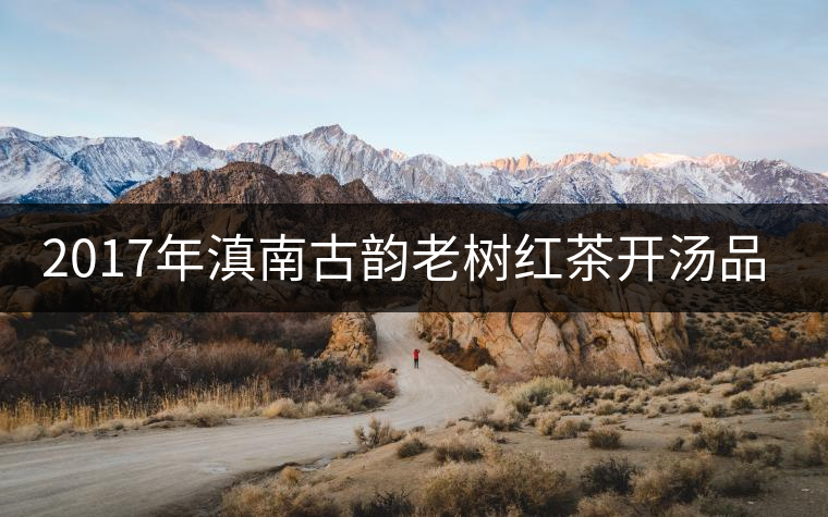 2017年滇南古韻老樹紅茶開湯品鑒