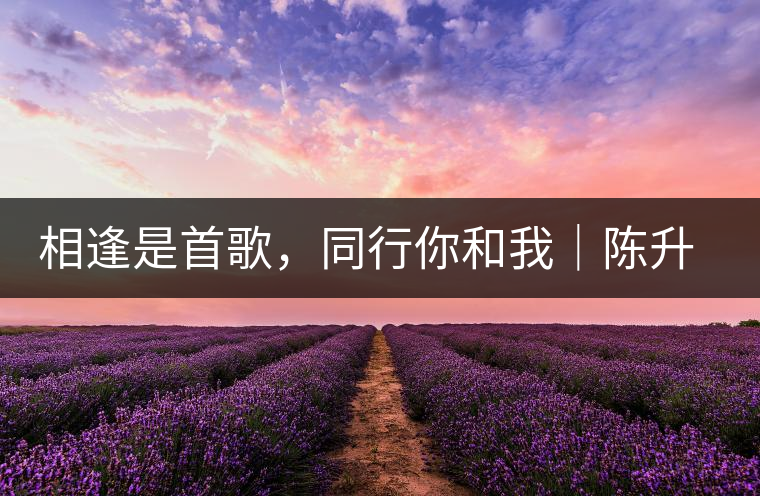 相逢是首歌，同行你和我｜陳升號與大家相約武漢茶博會(huì)！