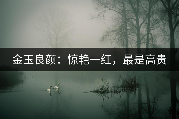 金玉良顏：驚艷一紅，最是高貴