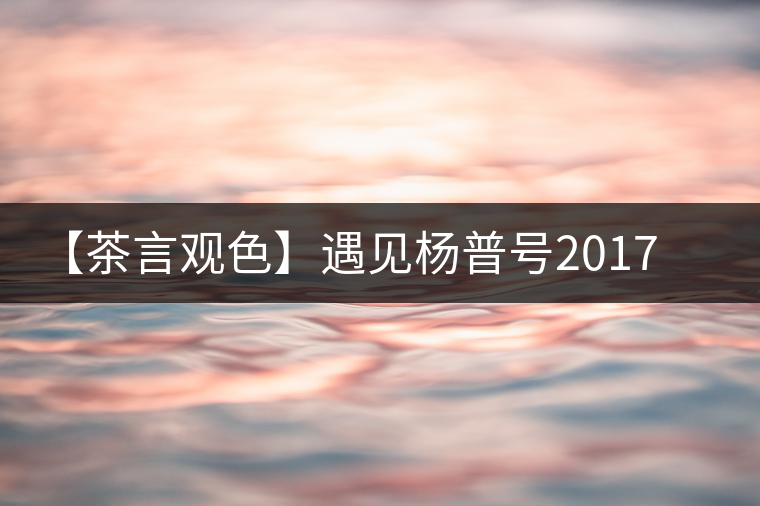 【茶言觀色】遇見楊普號2017年千山之外 【茶言觀色】遇見楊普號2017年千山之外
