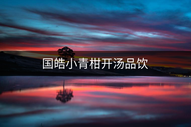 國(guó)皓小青柑開(kāi)湯品飲