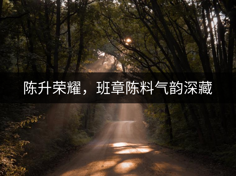 陳升榮耀，班章陳料氣韻深藏