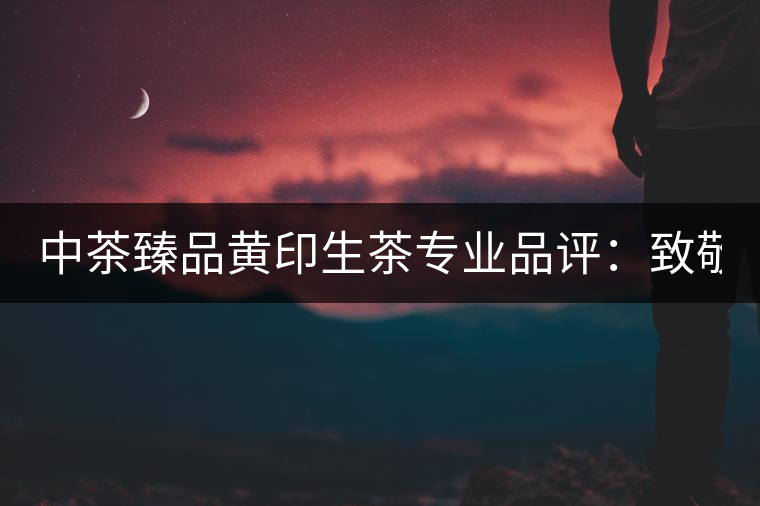 中茶臻品黃印生茶專業(yè)品評:致敬經(jīng)典 再啟新篇 中茶臻品黃印生茶專業(yè)品評:致敬經(jīng)典 再啟新篇