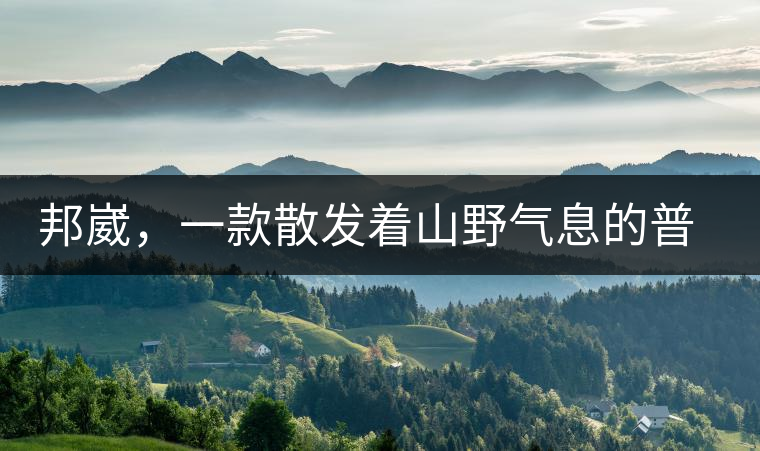 邦崴，一款散發(fā)著山野氣息的普洱