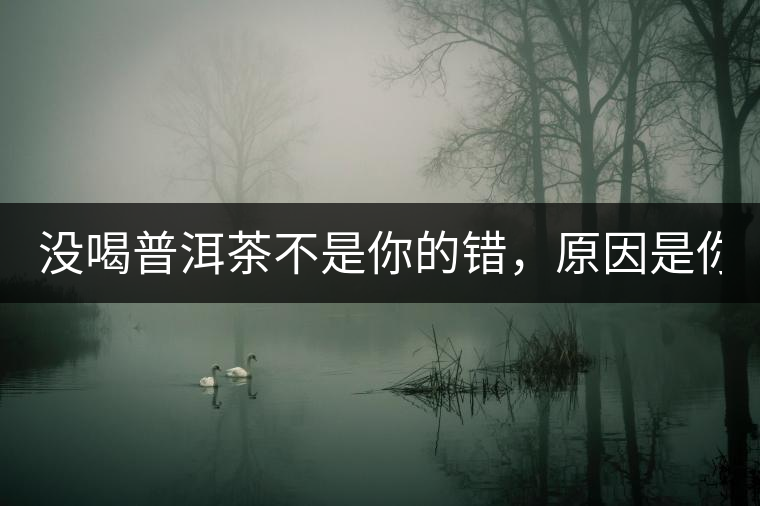 沒(méi)喝普洱茶不是你的錯(cuò)，原因是你還沒(méi)遇到Y(jié)671與Y562