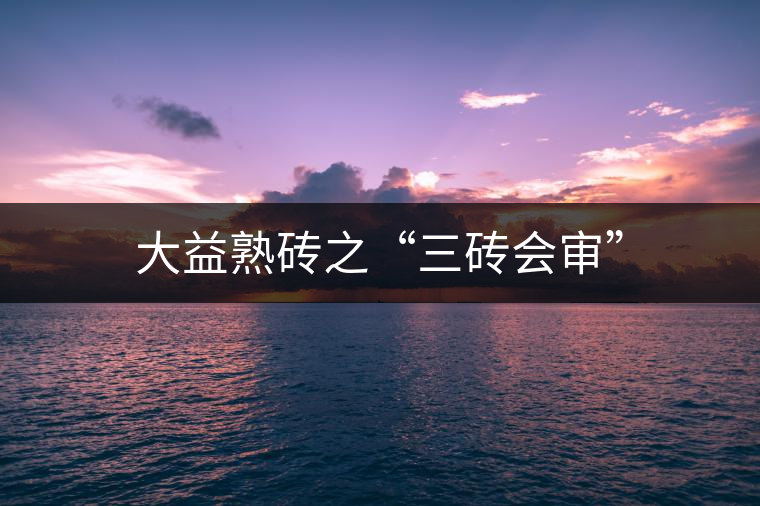 大益熟磚之“三磚會審” 大益熟磚之“三磚會審”